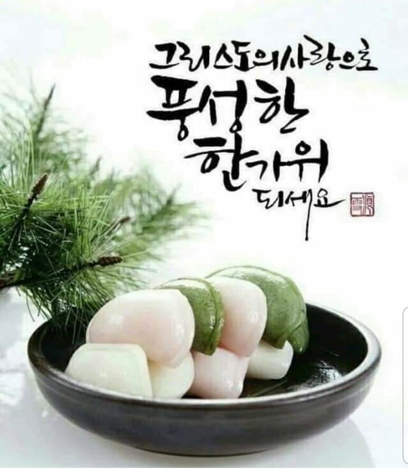 120335105_3325956444151029_9073644112270848153_o